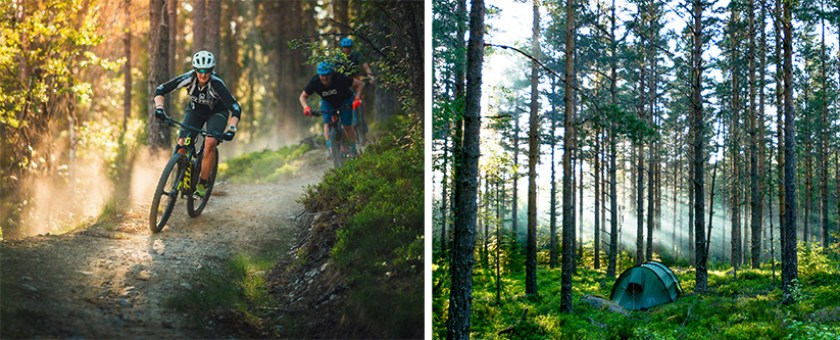 Mountainbike och allmänt friluftsliv är delar i utbildningen på Äventyrsgymnasiet. På bilden syns en cyklist på en mtb-stig och ett tält i skogen.